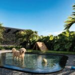 Piscina Pet